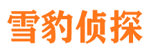 东洲调查公司